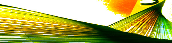Farbfächer Foto: Farbfächer